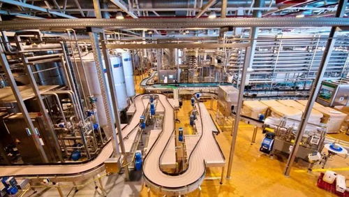 優化工廠現場布局與流程 提升商業管理效能的關鍵路徑